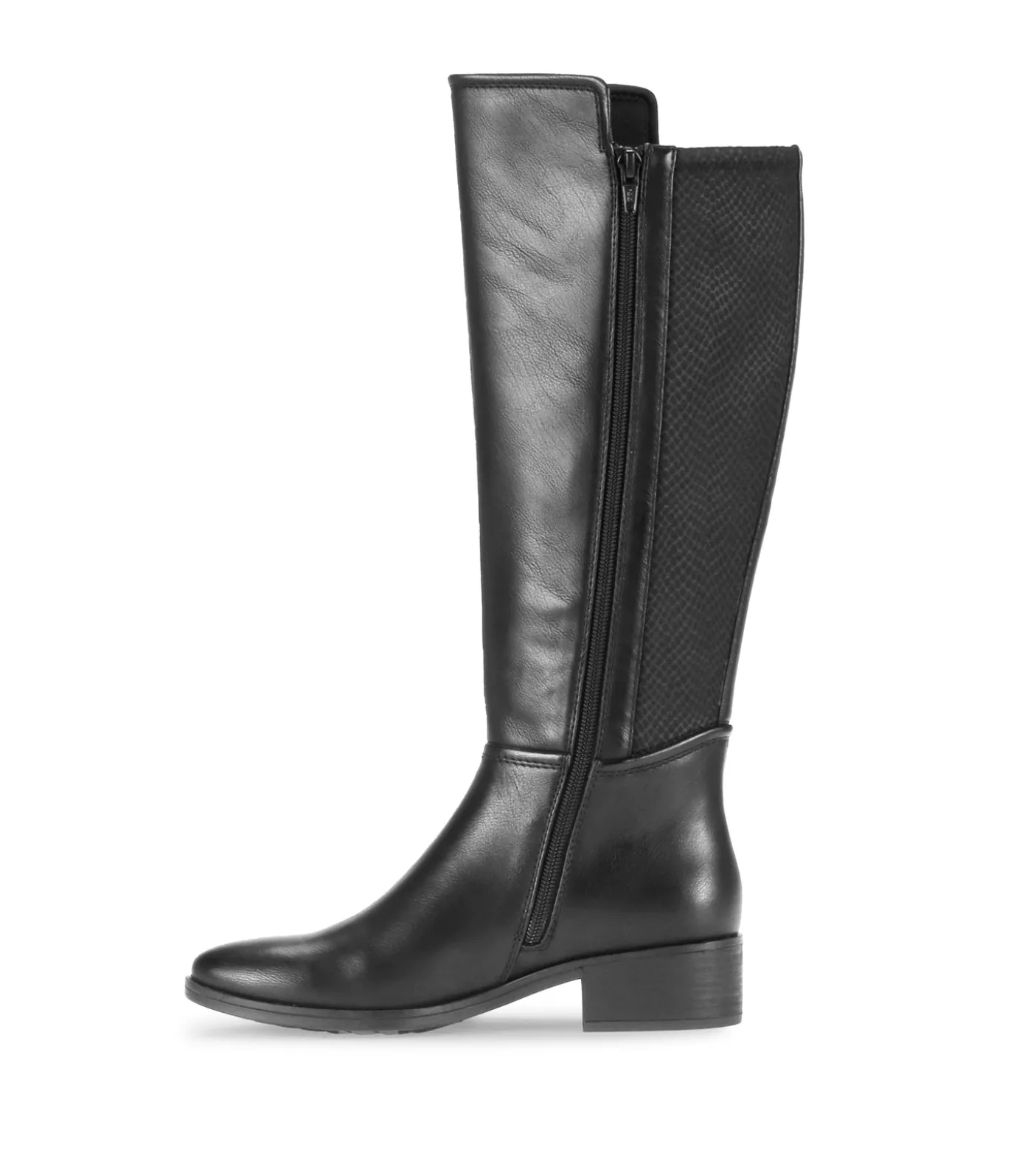 Magi Tall Boot